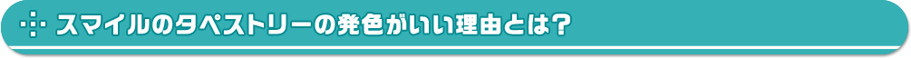 スマイルのタペストリーの発色がいい理由とは？
